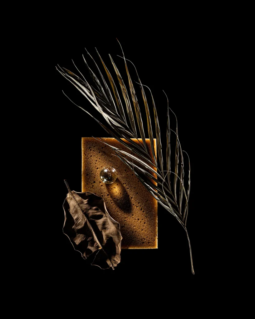 Dried leaf, wheat ear and coffee crema arranged on black