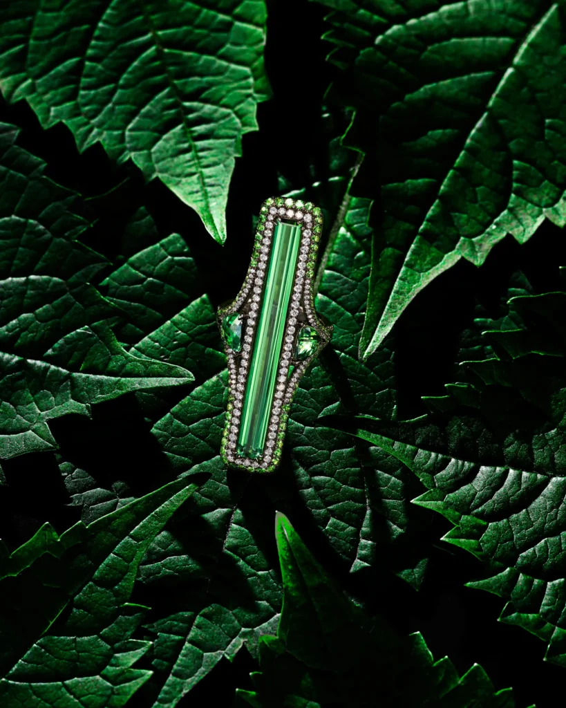 Emerald and diamond brooch laid on dark green leaves (retouched)